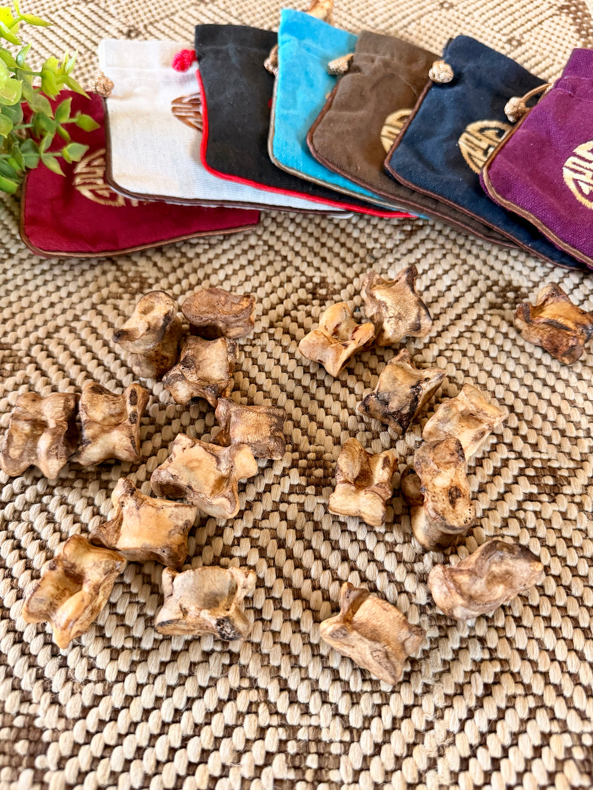 Kit Shagai AGARÄAN – Divination traditionnelle mongole