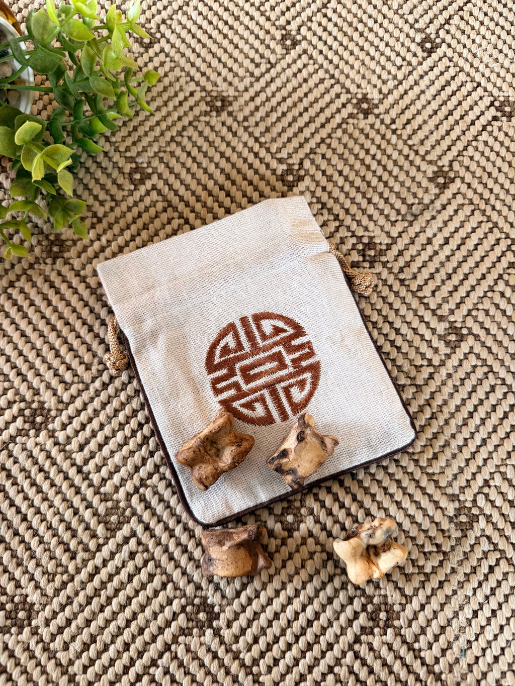 Kit Shagai AGARÄAN – Divination traditionnelle mongole
