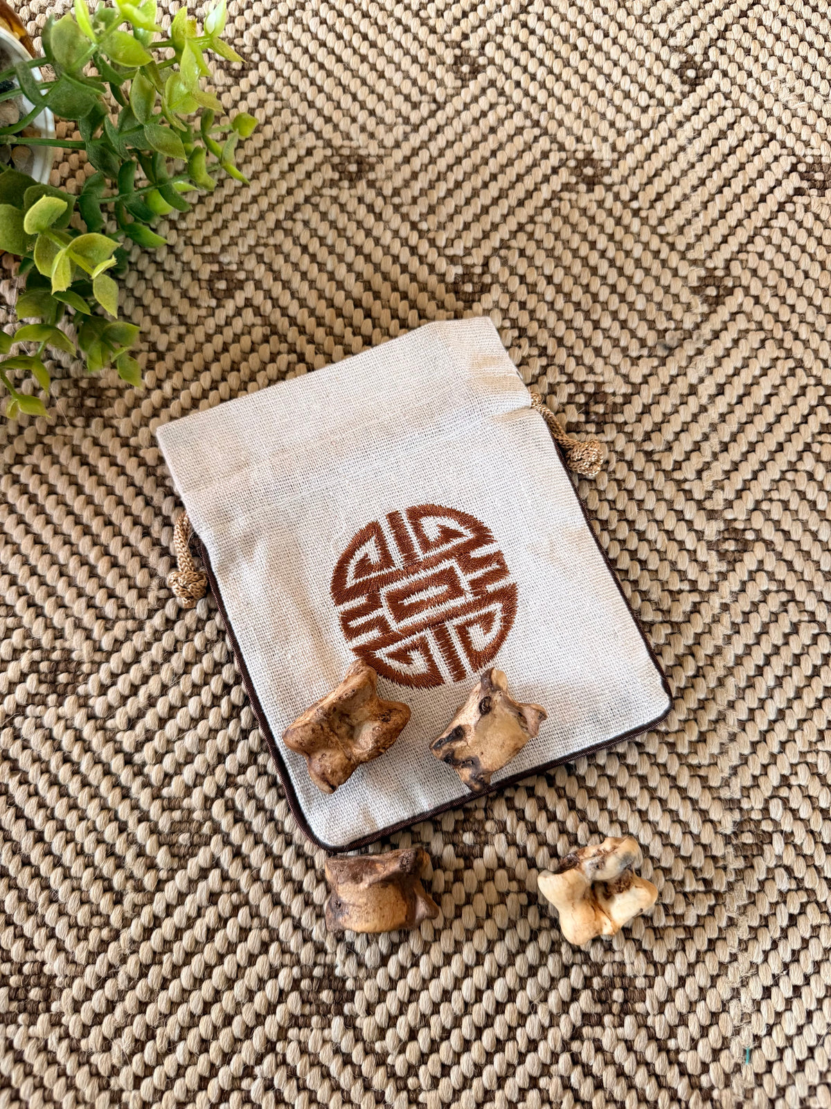 Kit Shagai AGARÄAN – Divination traditionnelle mongole