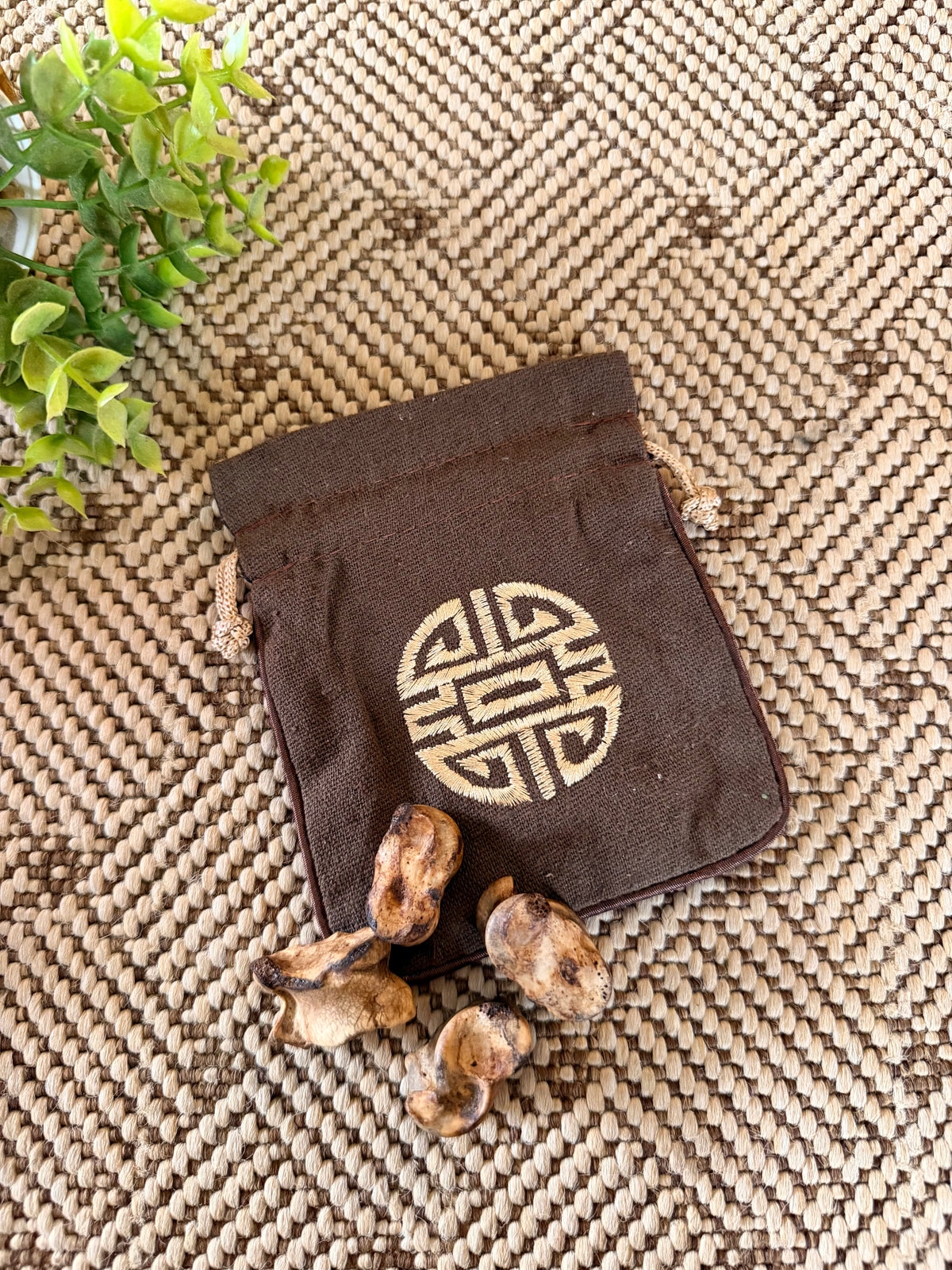 Kit Shagai AGARÄAN – Divination traditionnelle mongole
