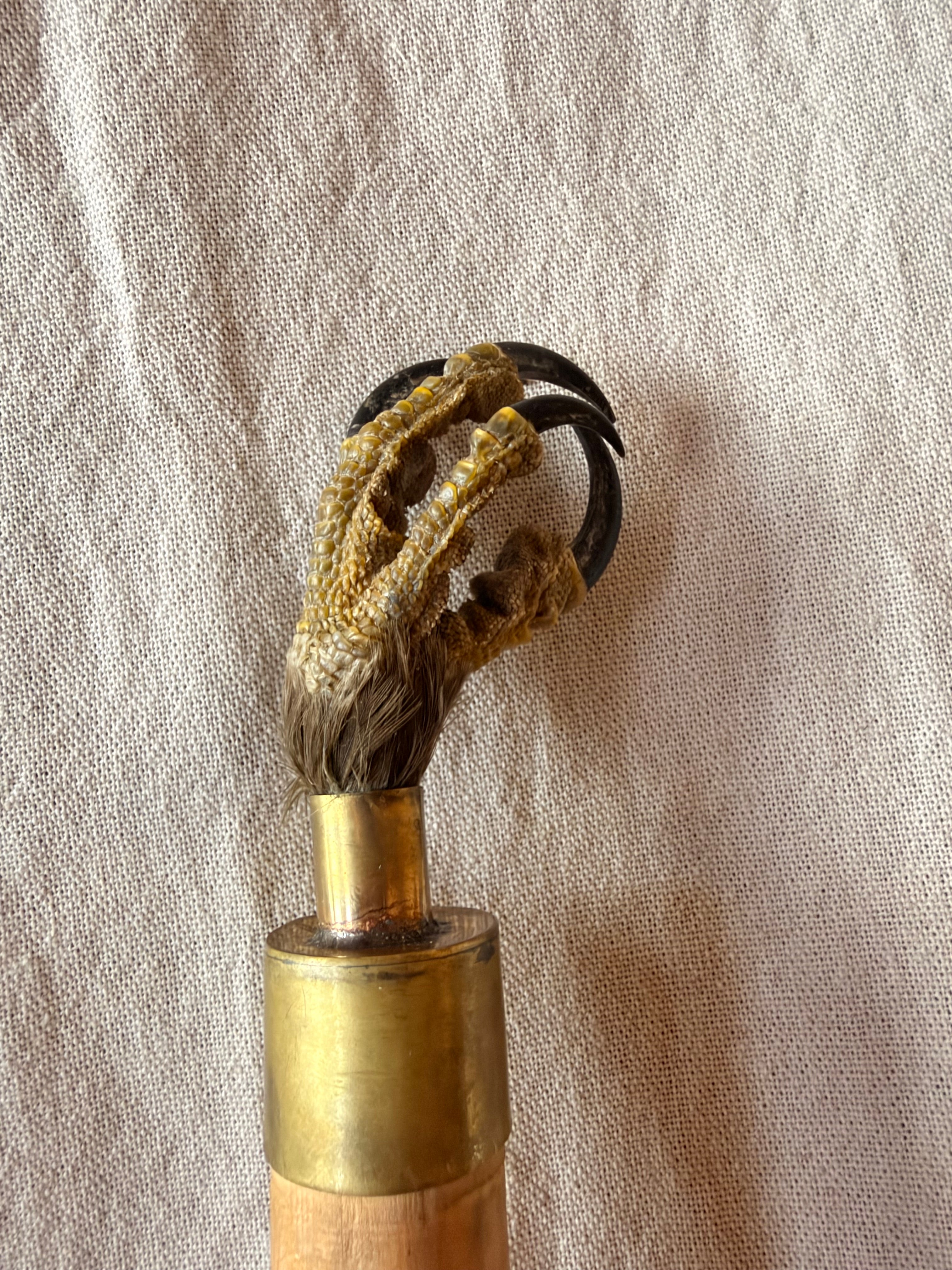 Mailloche d'exception – L'Aigle et le Serpent