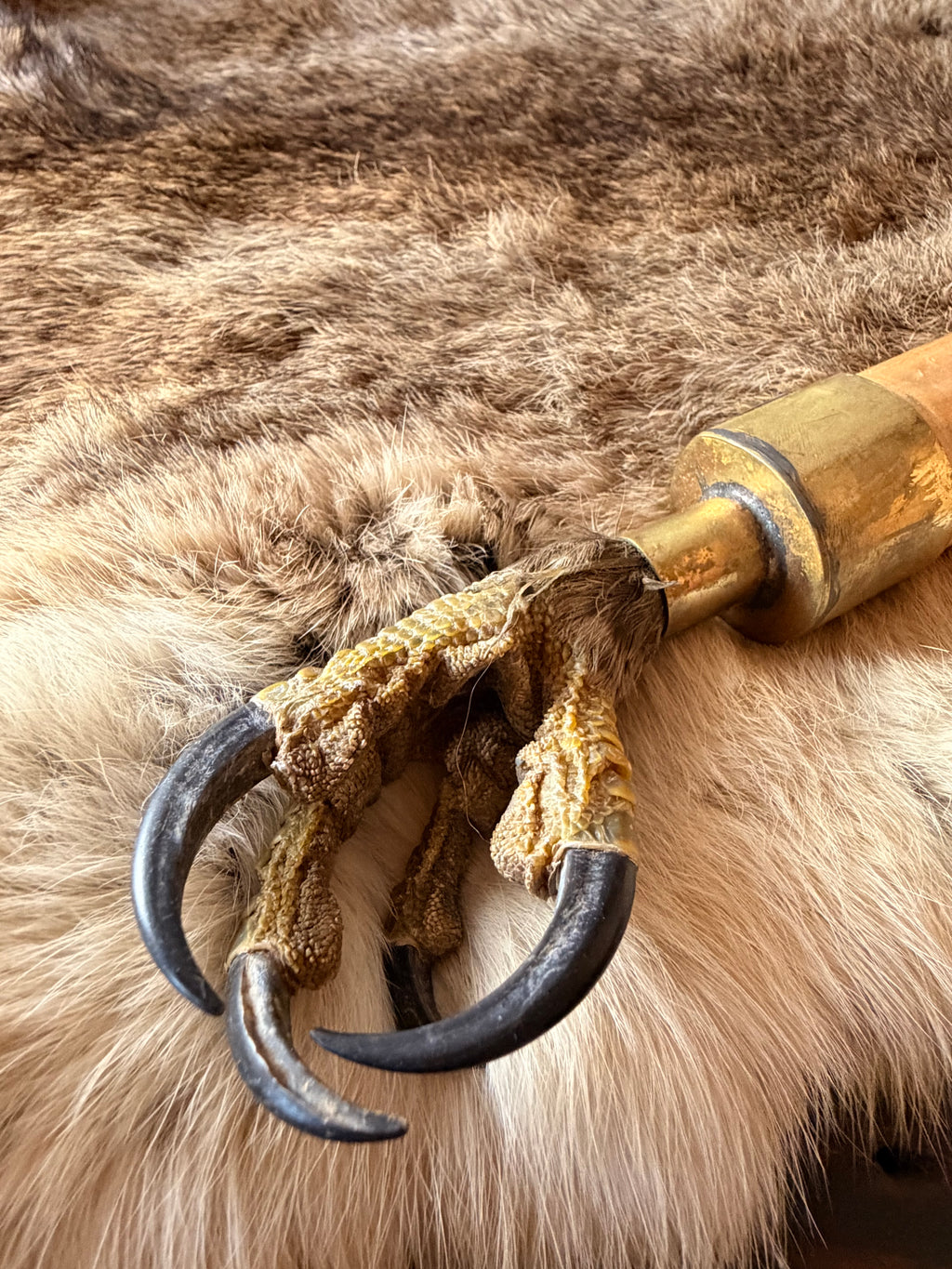 Mailloche d'exception – L'Aigle et le Serpent