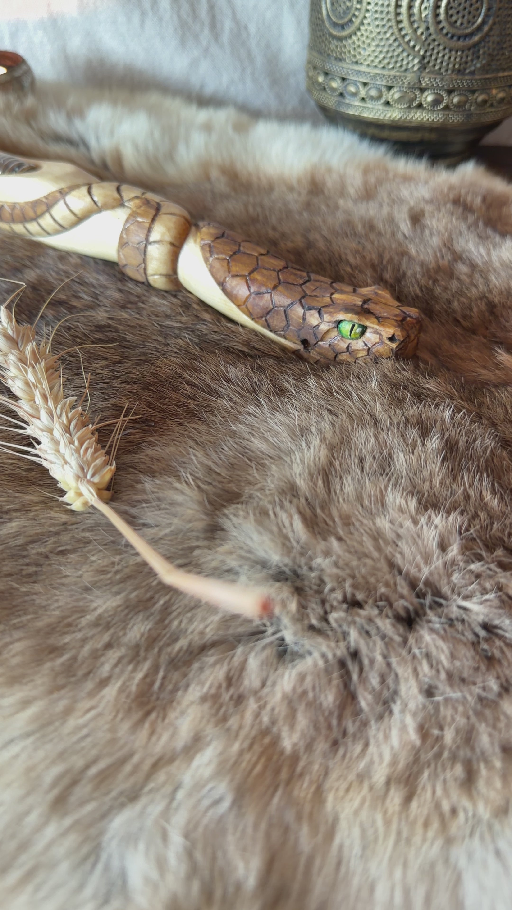 MAILLOCHE D'EXCEPTION – Le Serpent aux yeux verts